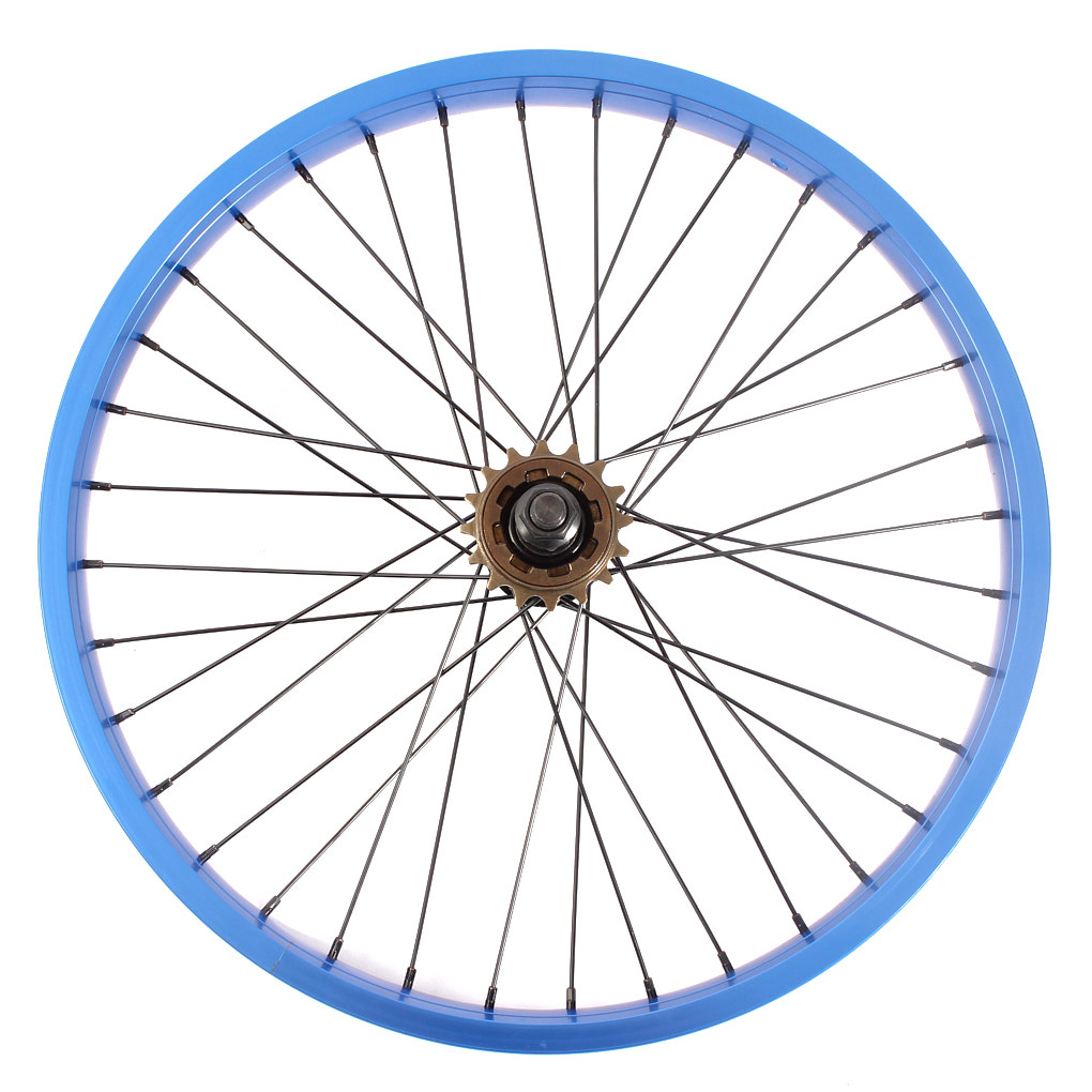Blaues Hinterrad mit 36 schwarzen Speichen und Freilaufnabe